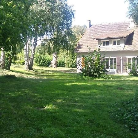 Villa - Coulommiers - Parcs Des Felins - Provins Beautheil-Saints Ngoại thất bức ảnh