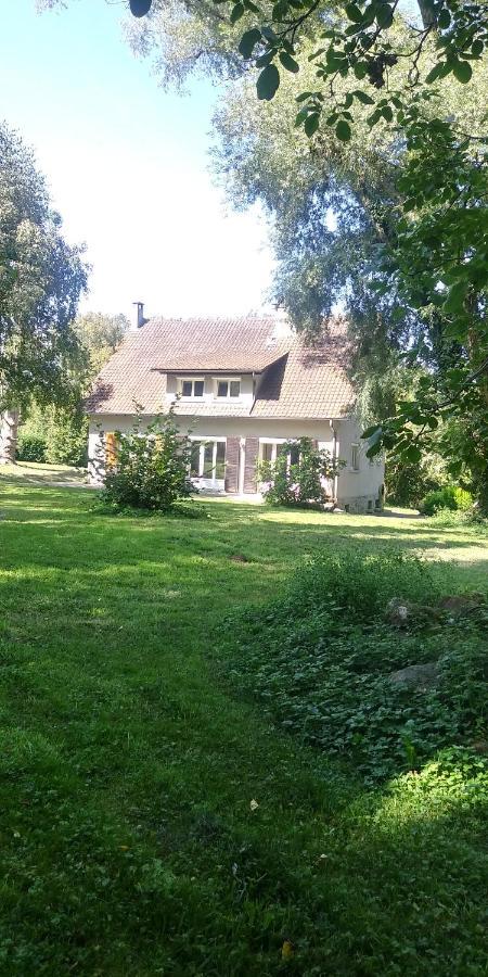 Villa - Coulommiers - Parcs Des Felins - Provins Beautheil-Saints Ngoại thất bức ảnh