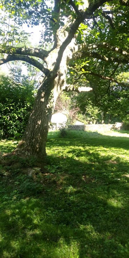 Villa - Coulommiers - Parcs Des Felins - Provins Beautheil-Saints Ngoại thất bức ảnh