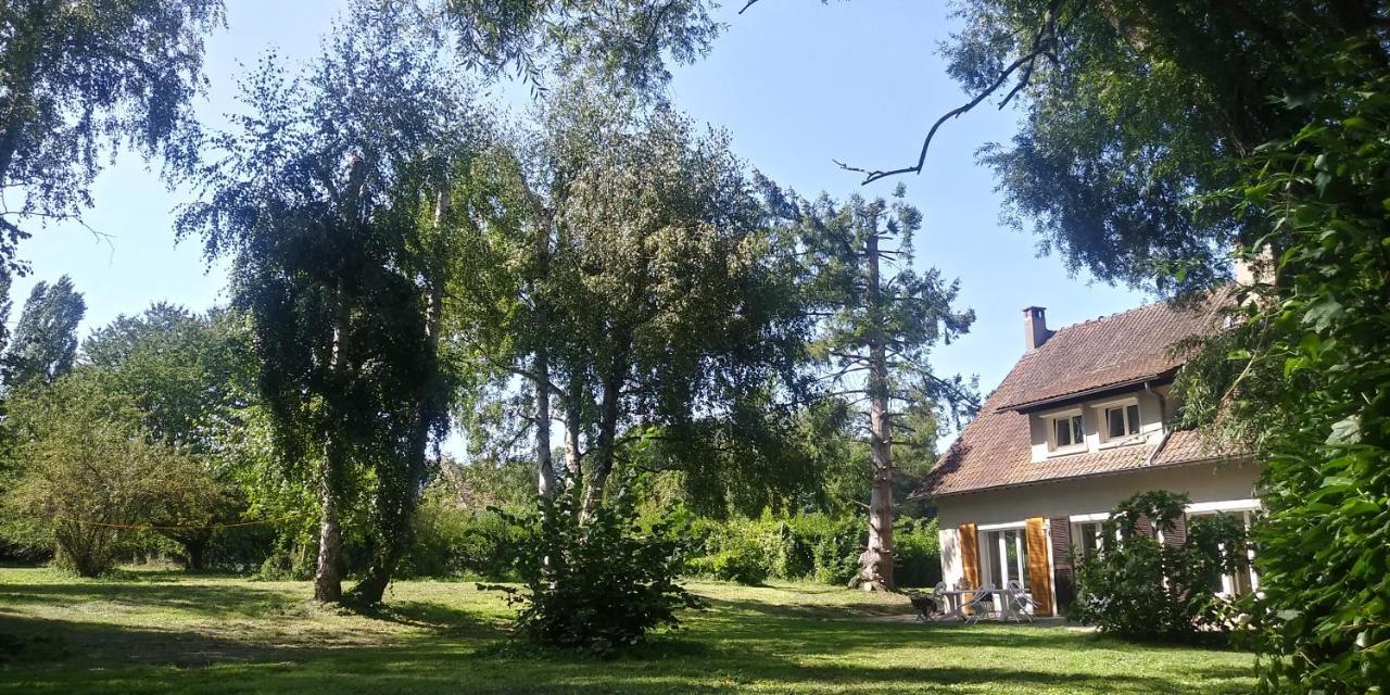 Villa - Coulommiers - Parcs Des Felins - Provins Beautheil-Saints Ngoại thất bức ảnh