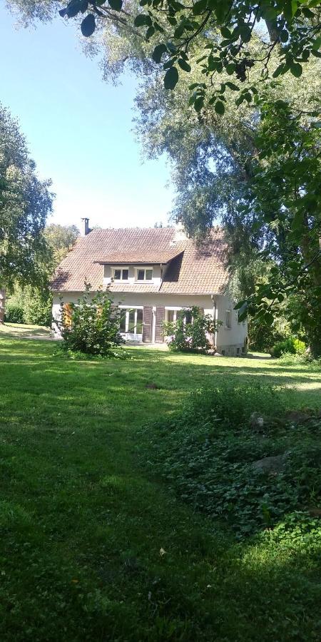 Villa - Coulommiers - Parcs Des Felins - Provins Beautheil-Saints Ngoại thất bức ảnh