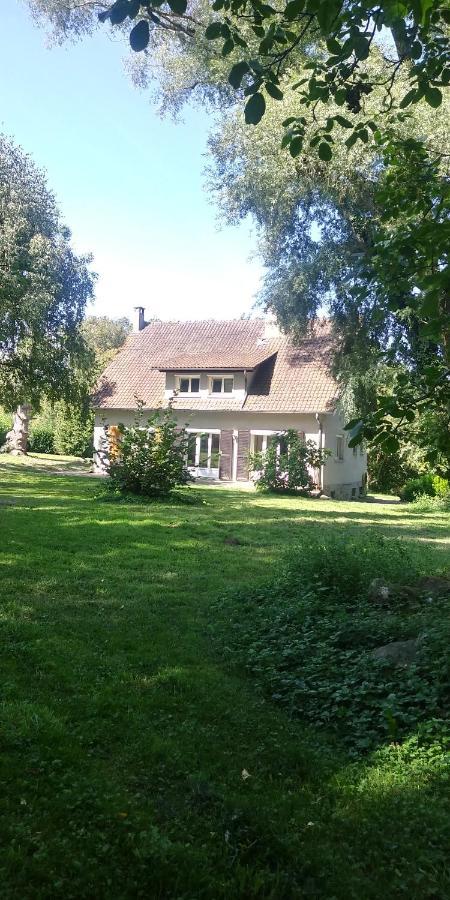Villa - Coulommiers - Parcs Des Felins - Provins Beautheil-Saints Ngoại thất bức ảnh