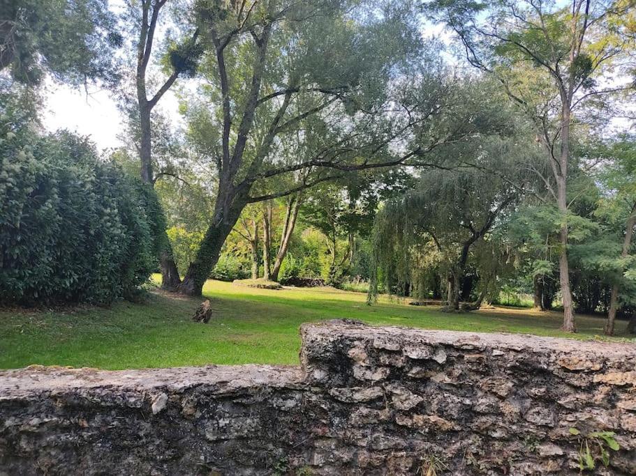 Villa - Coulommiers - Parcs Des Felins - Provins Beautheil-Saints Ngoại thất bức ảnh