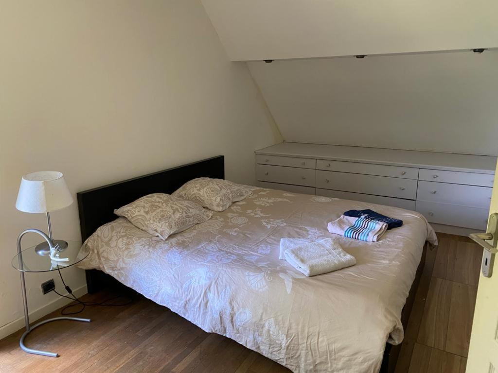 Villa - Coulommiers - Parcs Des Felins - Provins Beautheil-Saints Ngoại thất bức ảnh